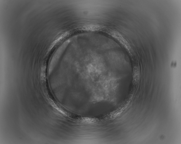 X0000097590585200803280929