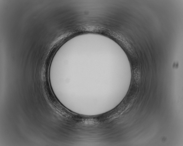 X0000097590587200803280929