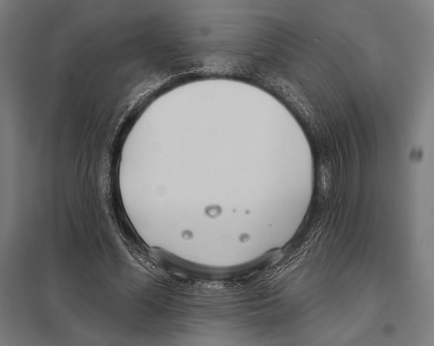 X0000097590588200803280929