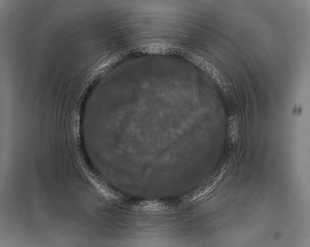 X0000097590589200803280929