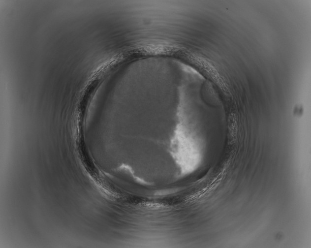 X0000097590590200803280929