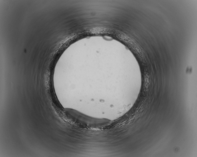 X0000097590592200803280929