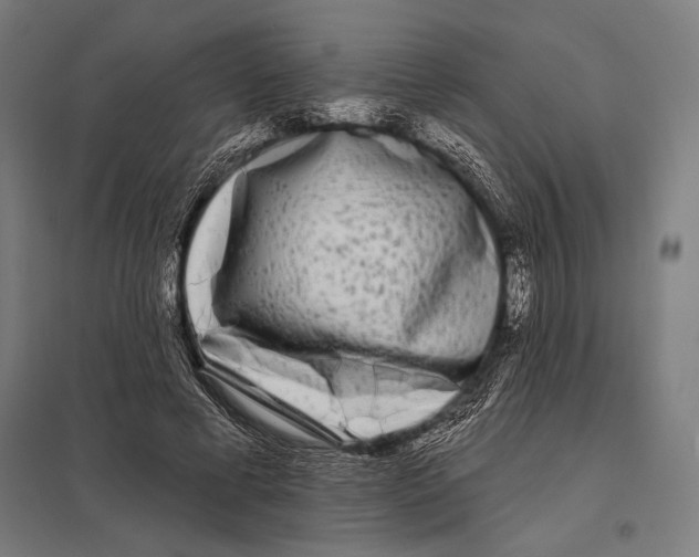 X0000097590593200803280929