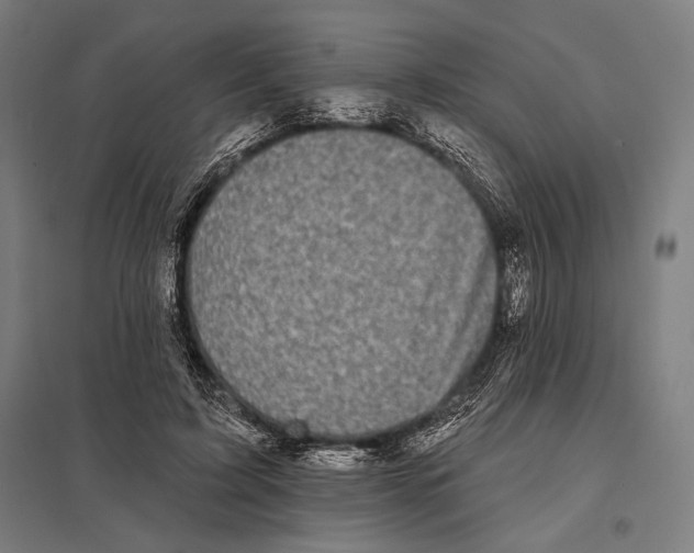 X0000097590595200803280929