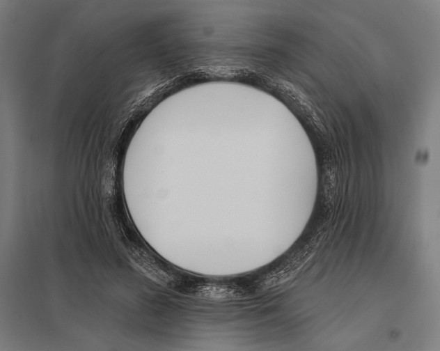 X0000097590596200803280929