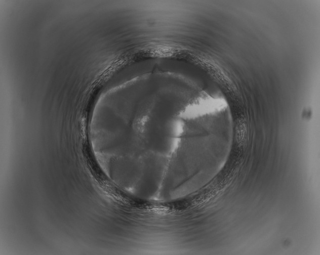 X0000097590598200803280929