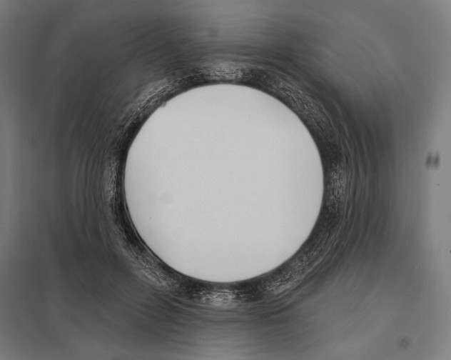 X0000097590600200803280929