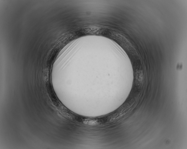 X0000097590602200803280929