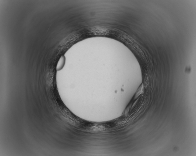 X0000097590604200803280929