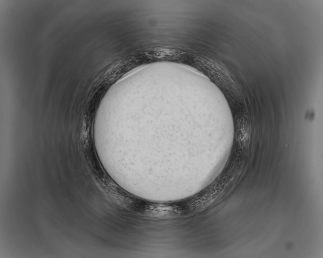 X0000097590607200803280929