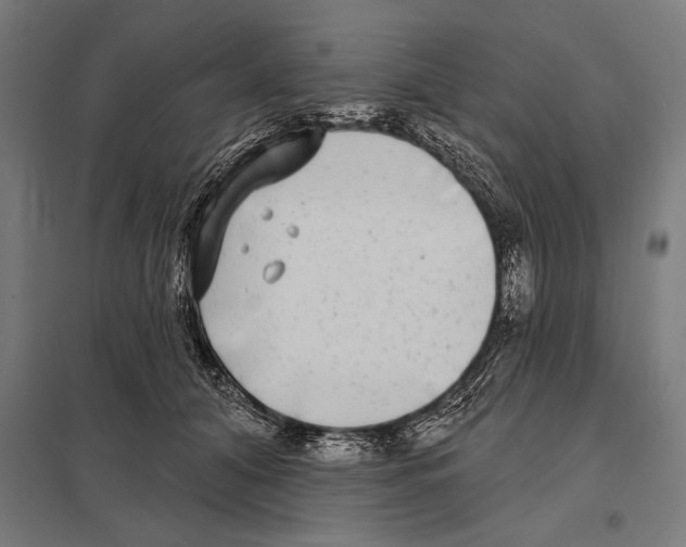 X0000097590608200803280929