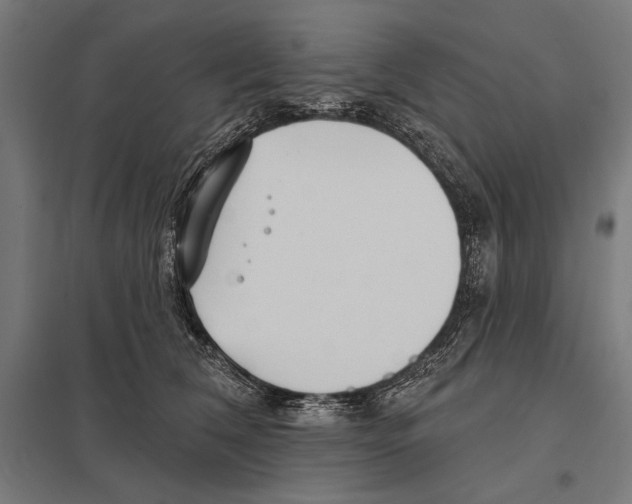 X0000097590612200803280929