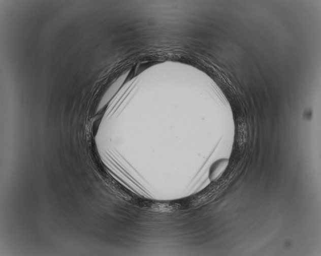 X0000097590613200803280929