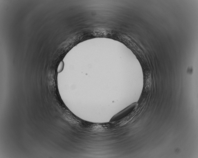 X0000097590616200803280929