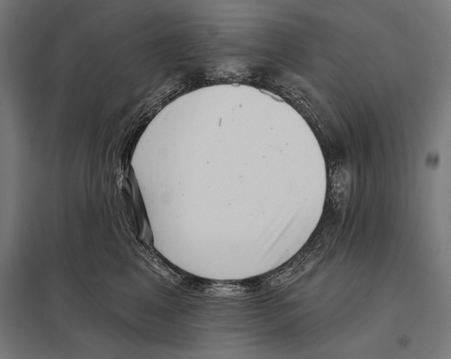 X0000097590617200803280929