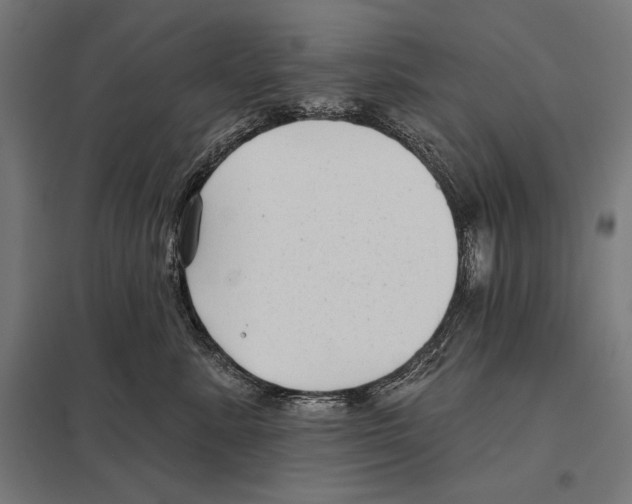 X0000097590619200803280929