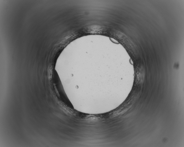 X0000097590620200803280929