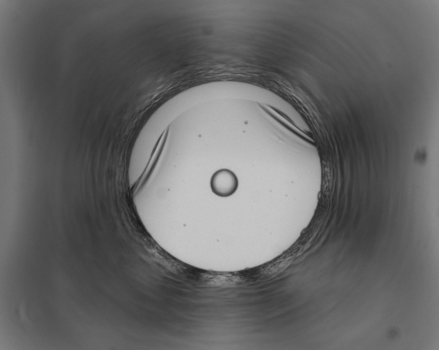 X0000097590621200803280929