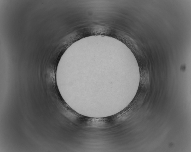 X0000097590622200803280929