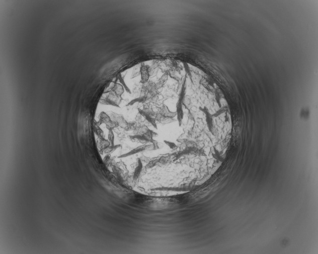 X0000097590623200803280929