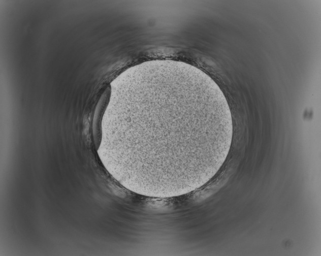 X0000097590624200803280929