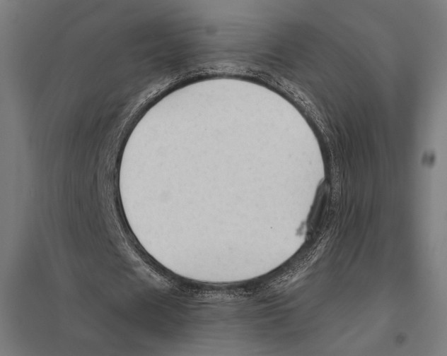 X0000097590625200803280928