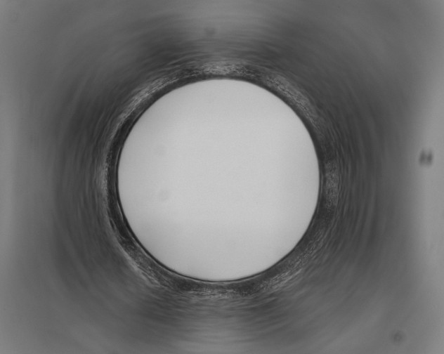 X0000097590626200803280928