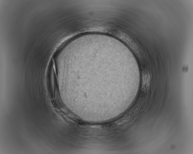 X0000097590628200803280928