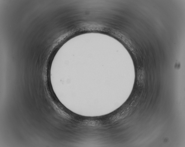 X0000097590629200803280928