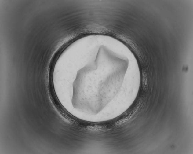 X0000097590630200803280928