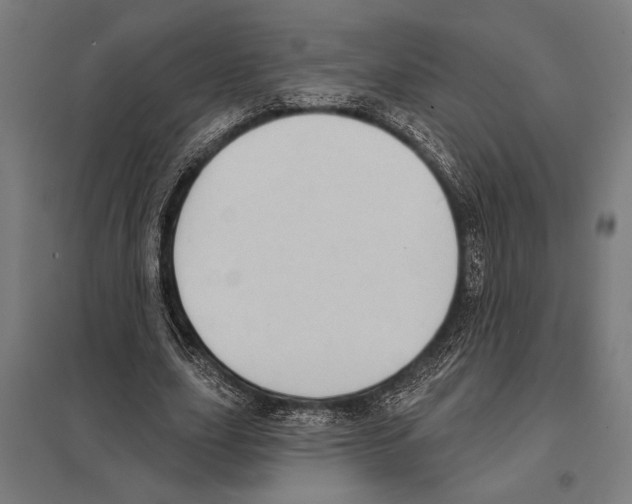 X0000097590631200803280928