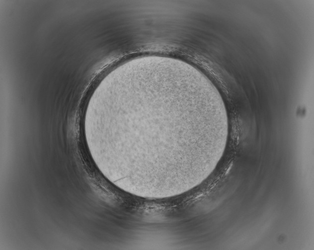 X0000097590632200803280928