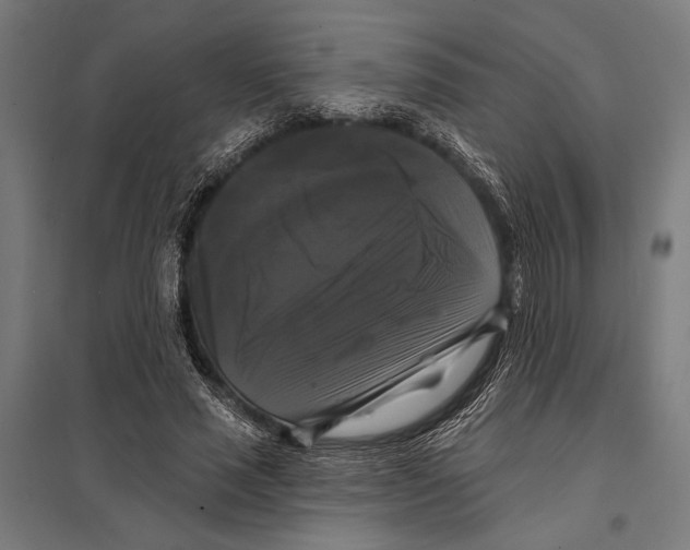 X0000097590637200803280928