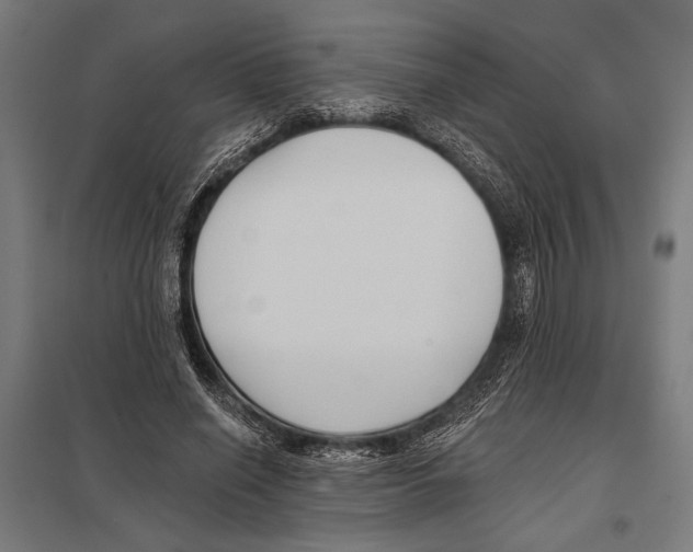 X0000097590638200803280928