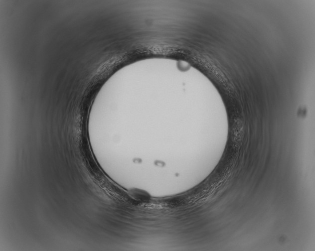 X0000097590639200803280928