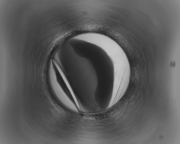 X0000097590640200803280928