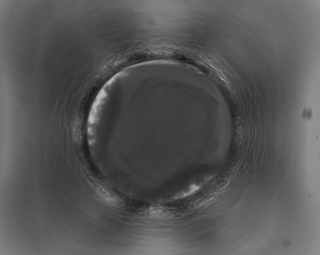 X0000097590641200803280928