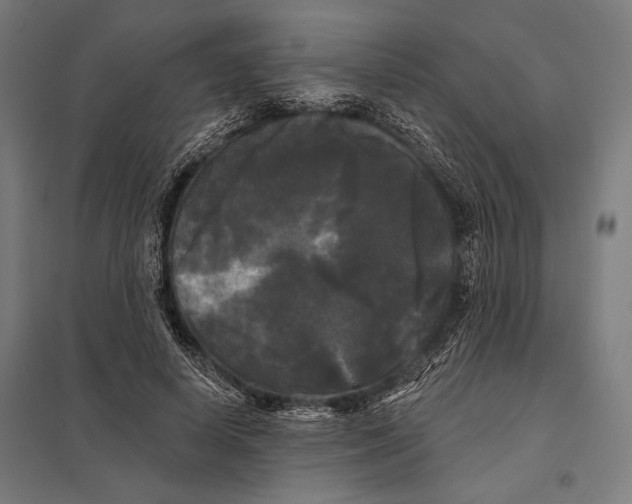 X0000097590642200803280928