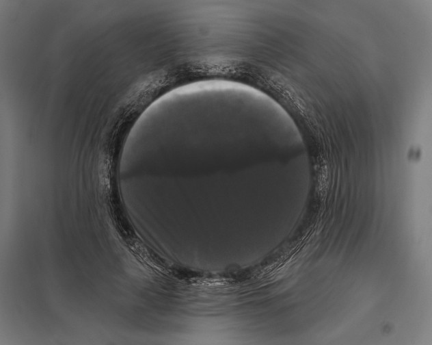 X0000097590643200803280928