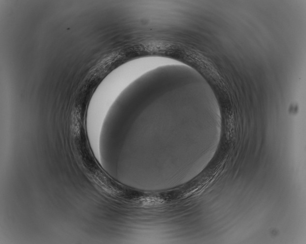 X0000097590644200803280928