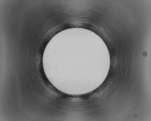 X0000097590645200803280928