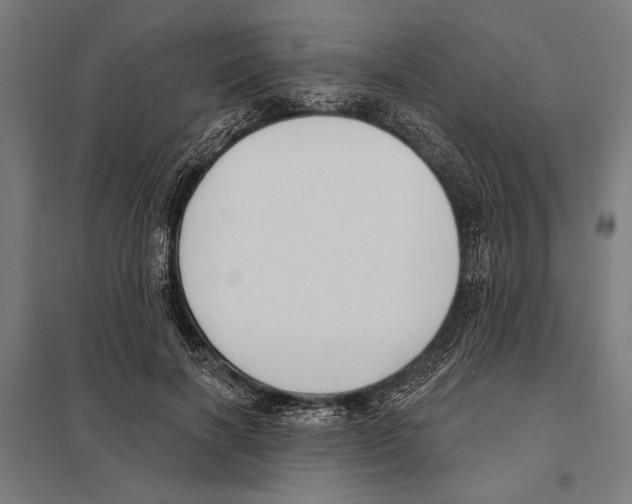 X0000097590646200803280928