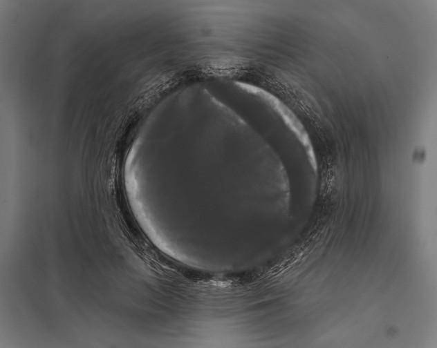 X0000097590647200803280928