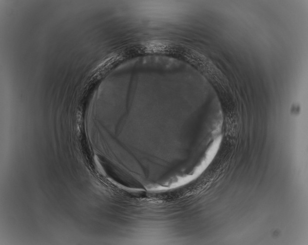 X0000097590648200803280928