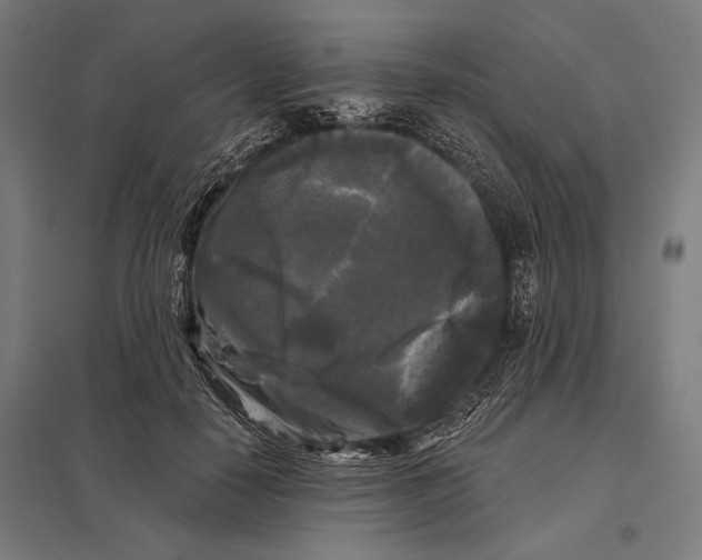 X0000097590650200803280928