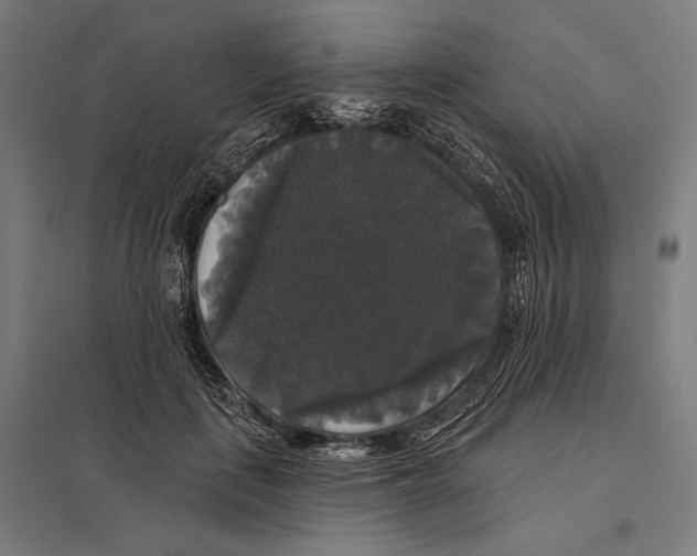 X0000097590651200803280928