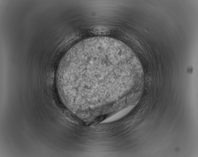 X0000097590652200803280928