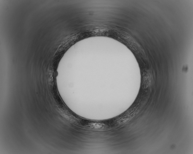 X0000097590654200803280928