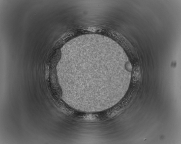 X0000097590656200803280928