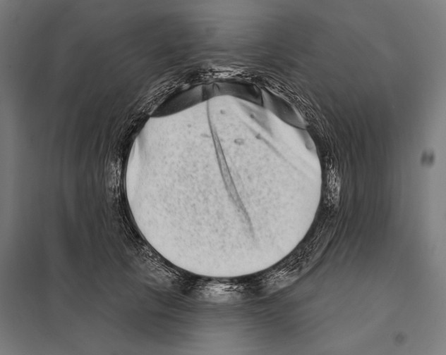 X0000097590657200803280928